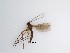  ( - LW-QMT238)  @11 [ ] CreativeCommons  Attribution
Non-Commercial Share-Alike (2019) Unspecified Zhejiang A&F University
