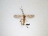  ( - LW-QMT254)  @11 [ ] CreativeCommons  Attribution
Non-Commercial Share-Alike (2019) Unspecified Zhejiang A&F University