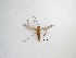  ( - LW-QMT263)  @11 [ ] CreativeCommons  Attribution
Non-Commercial Share-Alike (2019) Unspecified Zhejiang A&F University