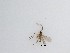  ( - LW-QMT278)  @11 [ ] CreativeCommons  Attribution
Non-Commercial Share-Alike (2019) Unspecified Zhejiang A&F University