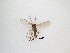  ( - LW-QMT279)  @11 [ ] CreativeCommons  Attribution
Non-Commercial Share-Alike (2019) Unspecified Zhejiang A&F University