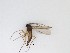  ( - LW-QMT315)  @11 [ ] CreativeCommons  Attribution
Non-Commercial Share-Alike (2019) Unspecified Zhejiang A&F University