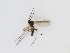  ( - LW-QMT316)  @11 [ ] CreativeCommons  Attribution
Non-Commercial Share-Alike (2019) Unspecified Zhejiang A&F University