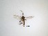  ( - LW-QMT324)  @11 [ ] CreativeCommons  Attribution
Non-Commercial Share-Alike (2019) Unspecified Zhejiang A&F University