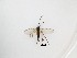  ( - LW-QMT329)  @11 [ ] CreativeCommons  Attribution
Non-Commercial Share-Alike (2019) Unspecified Zhejiang A&F University