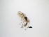  ( - LW-QMT345)  @11 [ ] CreativeCommons  Attribution
Non-Commercial Share-Alike (2019) Unspecified Zhejiang A&F University