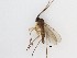  ( - LW-QMT35)  @14 [ ] CreativeCommons  Attribution
Non-Commercial Share-Alike (2019) Unspecified Zhejiang A&F University