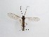 ( - LW-QMT372)  @11 [ ] CreativeCommons  Attribution
Non-Commercial Share-Alike (2019) Unspecified Zhejiang A&F University