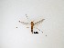  ( - LW-QMT401)  @11 [ ] CreativeCommons  Attribution
Non-Commercial Share-Alike (2019) Unspecified Zhejiang A&F University