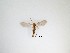  ( - LW-QMT403)  @11 [ ] CreativeCommons  Attribution
Non-Commercial Share-Alike (2019) Unspecified Zhejiang A&F University