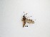  ( - LW-QMT429)  @11 [ ] CreativeCommons  Attribution
Non-Commercial Share-Alike (2019) Unspecified Zhejiang A&F University
