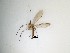  ( - LW-QMT456)  @11 [ ] CreativeCommons  Attribution
Non-Commercial Share-Alike (2019) Unspecified Zhejiang A&F University