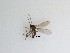  ( - LW-QMT458)  @11 [ ] CreativeCommons  Attribution
Non-Commercial Share-Alike (2019) Unspecified Zhejiang A&F University