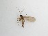  ( - LW-QMT466)  @11 [ ] CreativeCommons  Attribution
Non-Commercial Share-Alike (2019) Unspecified Zhejiang A&F University