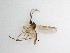  ( - LW-QMT490)  @11 [ ] CreativeCommons  Attribution
Non-Commercial Share-Alike (2019) Unspecified Zhejiang A&F University