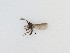  ( - LW-QMT531)  @11 [ ] CreativeCommons  Attribution
Non-Commercial Share-Alike (2019) Unspecified Zhejiang A&F University