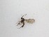  ( - LW-QMT579)  @11 [ ] CreativeCommons  Attribution
Non-Commercial Share-Alike (2019) Unspecified Zhejiang A&F University