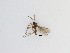  ( - LW-QMT584)  @11 [ ] CreativeCommons  Attribution
Non-Commercial Share-Alike (2019) Unspecified Zhejiang A&F University