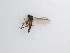  ( - LW-QMT65)  @11 [ ] CreativeCommons  Attribution
Non-Commercial Share-Alike (2019) Unspecified Zhejiang A&F University