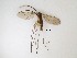  ( - LW-QMT67)  @11 [ ] CreativeCommons  Attribution
Non-Commercial Share-Alike (2019) Unspecified Zhejiang A&F University