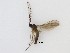  ( - LW-XG553)  @11 [ ] CreativeCommons  Attribution
Non-Commercial Share-Alike (2019) Unspecified Zhejiang A&F University