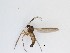  (Scythropochroa sp. 3_TM - LW-XG800)  @11 [ ] CreativeCommons  Attribution
Non-Commercial Share-Alike (2019) Unspecified Zhejiang A&F University