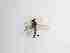  ( - TMM-1081-2)  @11 [ ] CreativeCommonsAttribution Non-Commercial (2018) Unspecified Zhejiang A&F University