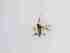  ( - TMM-223-2)  @11 [ ] CreativeCommonsAttribution Non-Commercial (2018) Unspecified Zhejiang A&F University