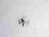  ( - TMM-226-2)  @11 [ ] CreativeCommonsAttribution Non-Commercial (2018) Unspecified Zhejiang A&F University