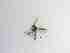  ( - TMM-232-2)  @11 [ ] CreativeCommonsAttribution Non-Commercial (2018) Unspecified Zhejiang A&F University