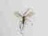  ( - TMM-262-2)  @11 [ ] CreativeCommonsAttribution Non-Commercial (2018) Unspecified Zhejiang A&F University