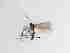  ( - TMM-325-2)  @11 [ ] CreativeCommonsAttribution Non-Commercial (2018) Unspecified Zhejiang A&F University