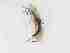  ( - TMM-382-2)  @11 [ ] CreativeCommonsAttribution Non-Commercial (2018) Unspecified Zhejiang A&F University