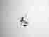  ( - TMM-45-2)  @11 [ ] CreativeCommonsAttribution Non-Commercial (2018) Unspecified Zhejiang A&F University
