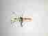  ( - TMM-503-2)  @11 [ ] CreativeCommonsAttribution Non-Commercial (2018) Unspecified Zhejiang A&F University