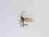  ( - TMM-514-2)  @11 [ ] CreativeCommonsAttribution Non-Commercial (2018) Unspecified Zhejiang A&F University