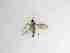  ( - TMM-735-2)  @11 [ ] CreativeCommonsAttribution Non-Commercial (2018) Unspecified Zhejiang A&F University