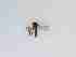  ( - TMM-983-2)  @11 [ ] CreativeCommonsAttribution Non-Commercial (2018) Unspecified Zhejiang A&F University