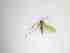  ( - TMM-989-2)  @11 [ ] CreativeCommonsAttribution Non-Commercial (2018) Unspecified Zhejiang A&F University