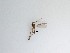  ( - TMM-106)  @11 [ ] CreativeCommons  Attribution
Non-Commercial Share-Alike (2019) Unspecified Zhejiang A&F University