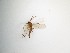  ( - TMM-1117)  @11 [ ] CreativeCommons  Attribution
Non-Commercial Share-Alike (2019) Unspecified Zhejiang A&F University
