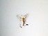  ( - TMM-1119)  @11 [ ] CreativeCommons  Attribution
Non-Commercial Share-Alike (2019) Unspecified Zhejiang A&F University