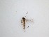  ( - TMM-1131)  @11 [ ] CreativeCommons  Attribution
Non-Commercial Share-Alike (2019) Unspecified Zhejiang A&F University
