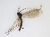  ( - TMM-1180)  @11 [ ] CreativeCommons  Attribution
Non-Commercial Share-Alike (2019) Unspecified Zhejiang A&F University