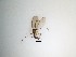  ( - TMM-1184)  @11 [ ] CreativeCommons  Attribution
Non-Commercial Share-Alike (2019) Unspecified Zhejiang A&F University