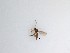  ( - TMM-18)  @11 [ ] CreativeCommons  Attribution
Non-Commercial Share-Alike (2019) Unspecified Zhejiang A&F University