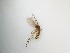  ( - TMM-183)  @11 [ ] CreativeCommons  Attribution
Non-Commercial Share-Alike (2019) Unspecified Zhejiang A&F University