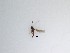  ( - TMM-208)  @11 [ ] CreativeCommons  Attribution
Non-Commercial Share-Alike (2019) Unspecified Zhejiang A&F University