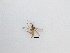  ( - TMM-225)  @11 [ ] CreativeCommons  Attribution
Non-Commercial Share-Alike (2019) Unspecified Zhejiang A&F University