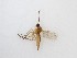  ( - TMM-240)  @13 [ ] CreativeCommons  Attribution
Non-Commercial Share-Alike (2019) Unspecified Zhejiang A&F University